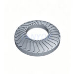 Serrated Belleville Washer